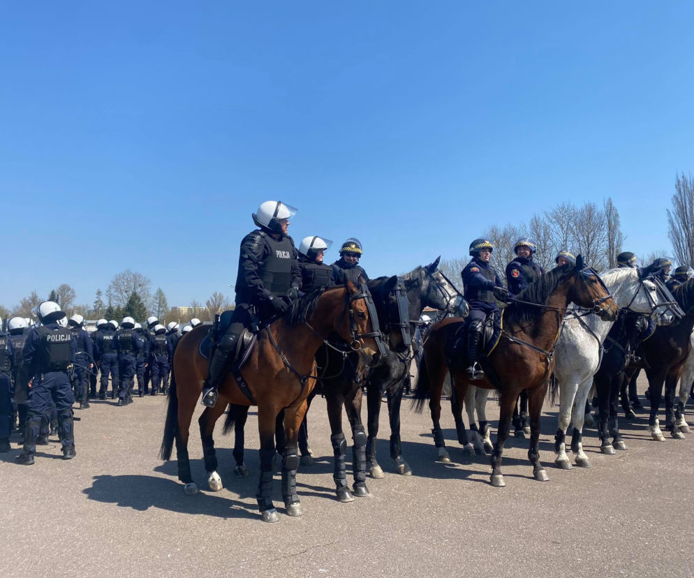 Atestacja koni w łódzkim oddziale policji 