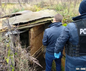 Wspólna akcja policjantów z Kielc i Grudziądza. Odkryli podziemną plantację