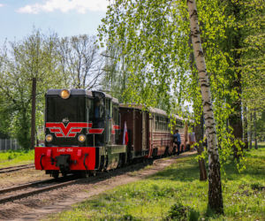 Warszawska podróż w czasie. Kultowe „Parówki”, Ikarusy i Jelcze wracają na trasy