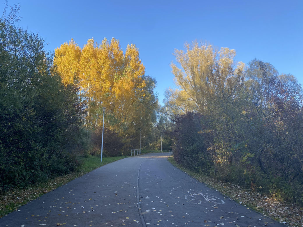 Jesień w Rzeszowie