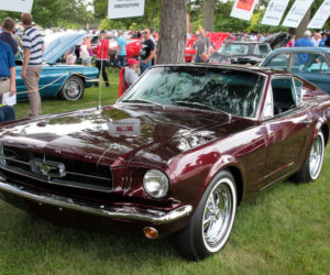 Ford Mustang Shorty