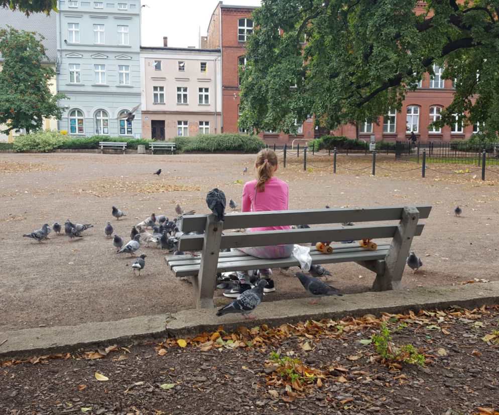 Nowy rok, nowe inwestycje w Lesznie. Lista długa