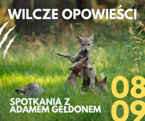Fakty i mity o wilkach. Spotkanie z Adamem Gełdonem