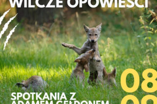 Fakty i mity o wilkach. Spotkanie z Adamem Gełdonem