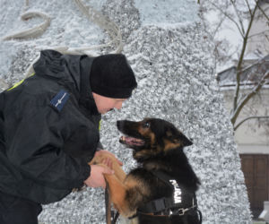 Tazer, policjant na 4 łapach, przeszedł na emeryturę