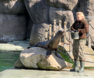 Najlepsze ogrody zoologiczne w Polsce [ZDJĘCIA]