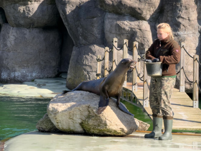 Najlepsze ogrody zoologiczne w Polsce [ZDJĘCIA]