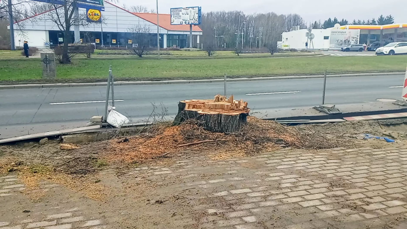 Ulica rozkopana, drzewa wycięte, kierowcy narzekają. Co z nowym dojazdem do sklepu IKEA w Szczecinie?