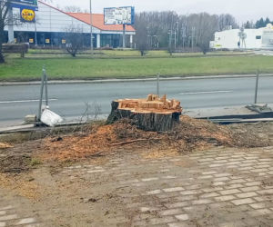Ulica rozkopana, drzewa wycięte, kierowcy narzekają. Co z nowym dojazdem do sklepu IKEA w Szczecinie?
