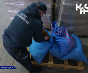 CBŚP i KAS zlikwidowali magazyn z nielegalnymi papierosami