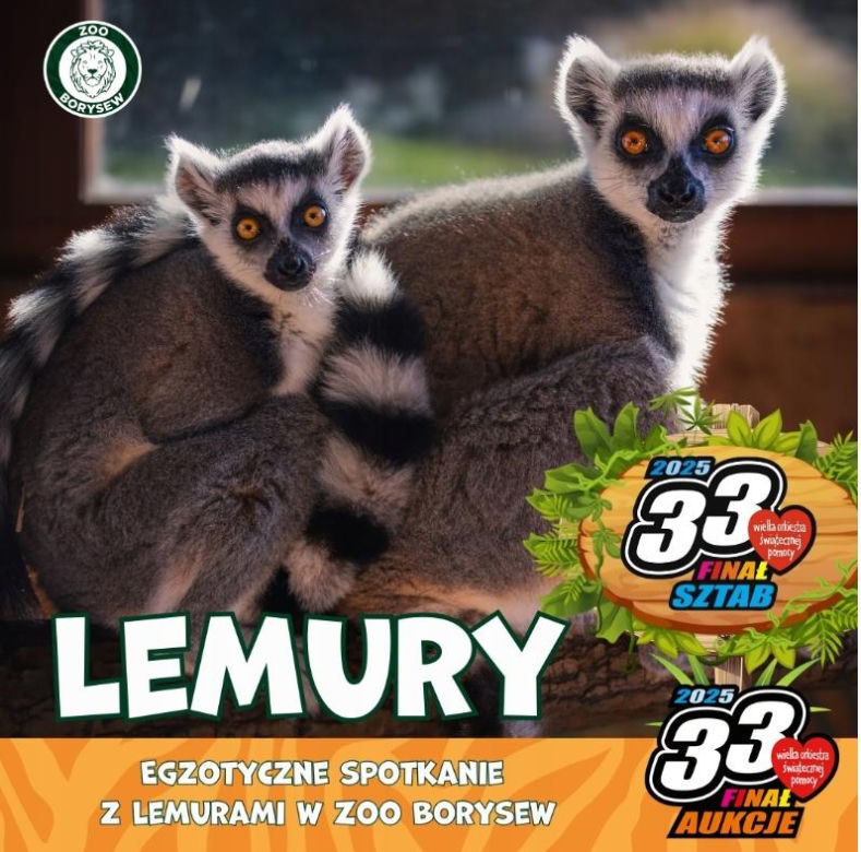 Spotkanie z lemurami