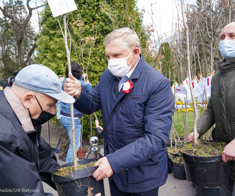 Mieszkańcy Białegostoku odebrali od miasta sadzonki dębów