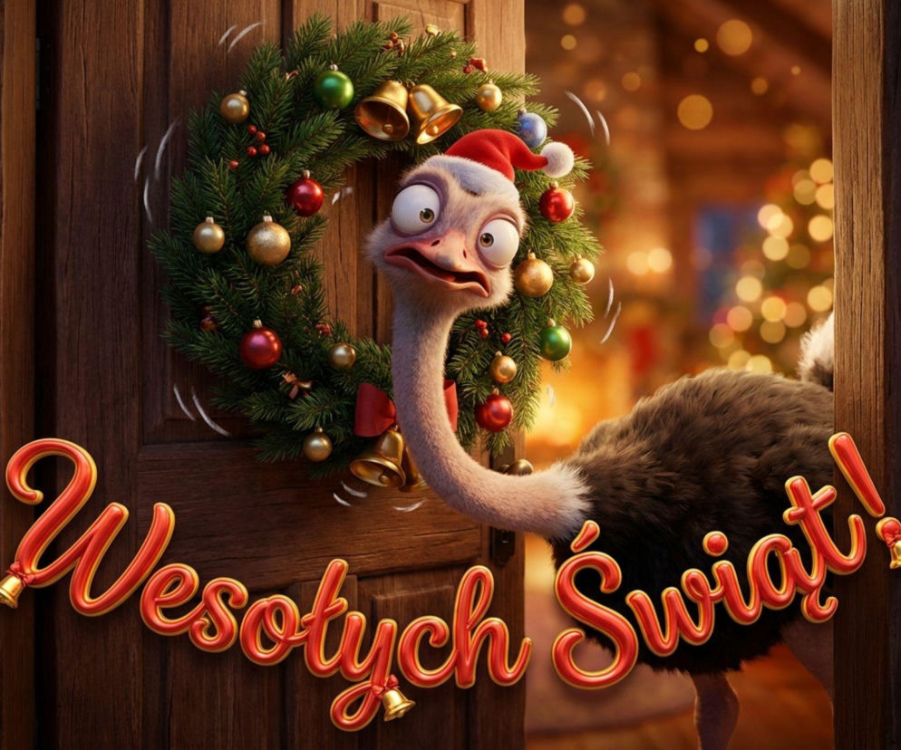 Świąteczny struś zaklinowany w wieńcu