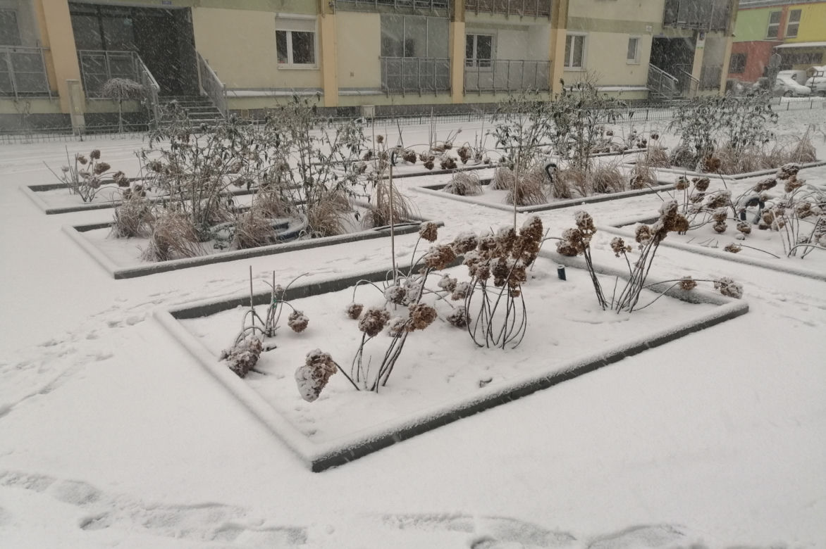 Śnieg zaskoczył Warszawę