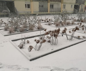 Śnieg zaskoczył Warszawę