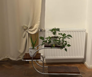 Willa Löw-Beer w Brnie