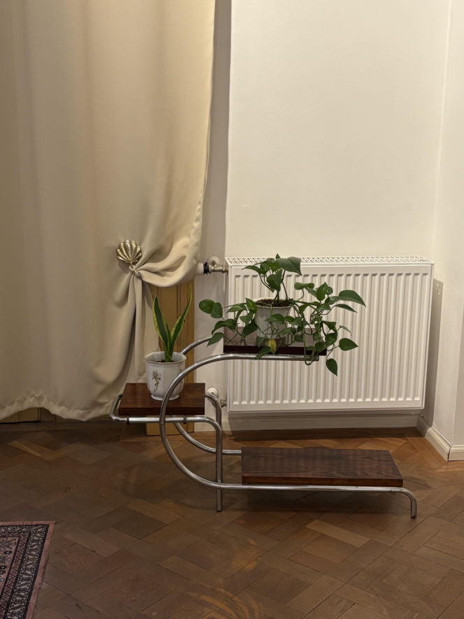 Willa Löw-Beer w Brnie