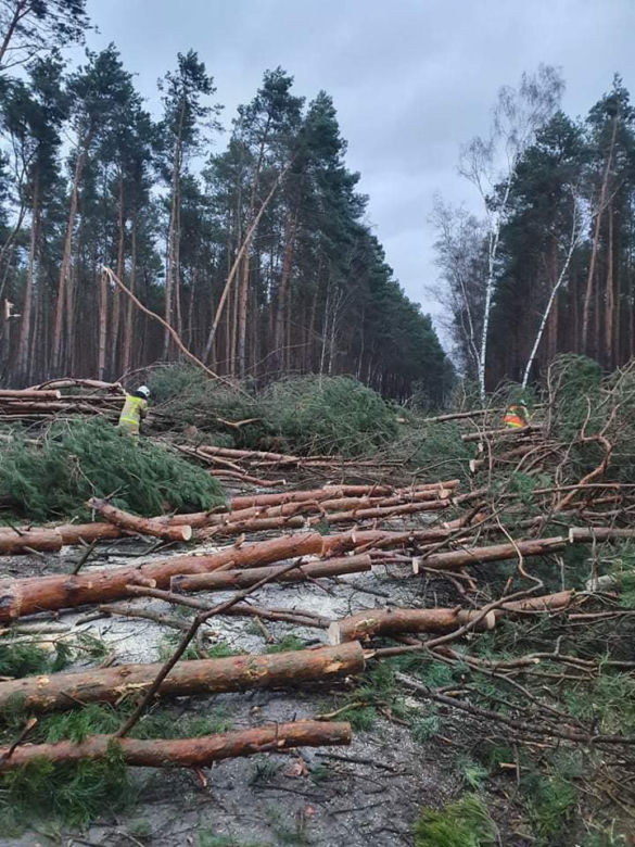 Pogodowy armagedon w Wielkopolsce