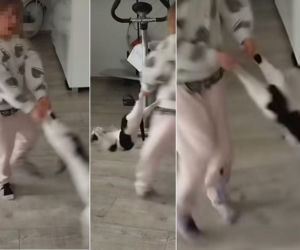 7-latka znęcała się nad kotem, a matka nagrywała! Wstrząsające wideo obiegło internet