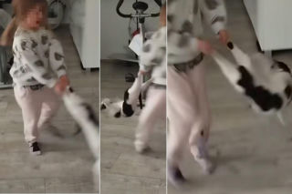 7-letnia dziewczynka maltretowała kota, matka to nagrywała! Wideo wywołało prawdziwą burzę