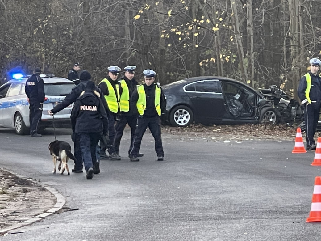 Auto rozwalone o drzewo. Nie żyje pasażerka, kierowca zwiał