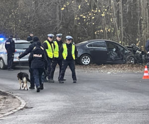 Auto rozwalone o drzewo. Nie żyje pasażerka, kierowca zwiał