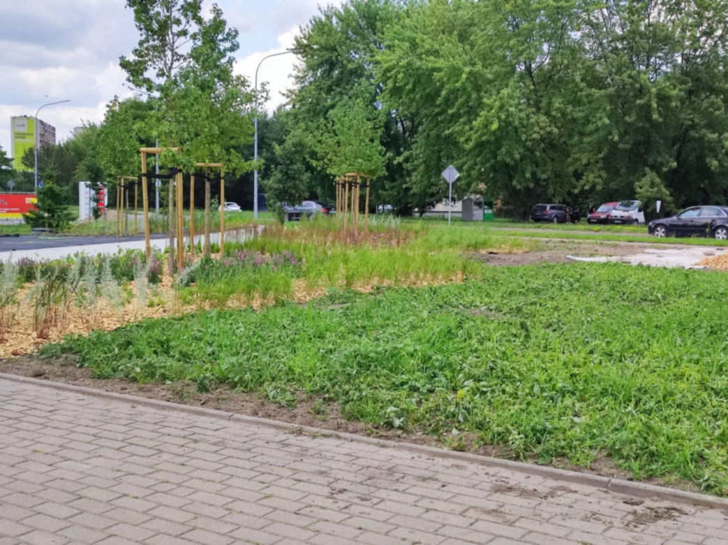 Park kieszonkowy powstający przy ul. Wyszyńskiego w Siedlcach