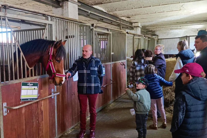 Konna święconka w Szczecinie