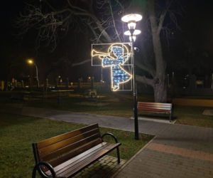 Tarnów. Świąteczna iluminacja już rozbłysła. Tak wygląda choinka na pl. Kazimierza