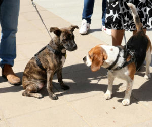 Poświęcił im swoją kampanię wyborczą. Przyszły na pogrzeb Łukasza Litewki. Oczy od razu się zaszkliły