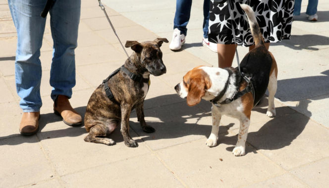 Poświęcił im swoją kampanię wyborczą. Przyszły na pogrzeb Łukasza Litewki. Oczy od razu się zaszkliły