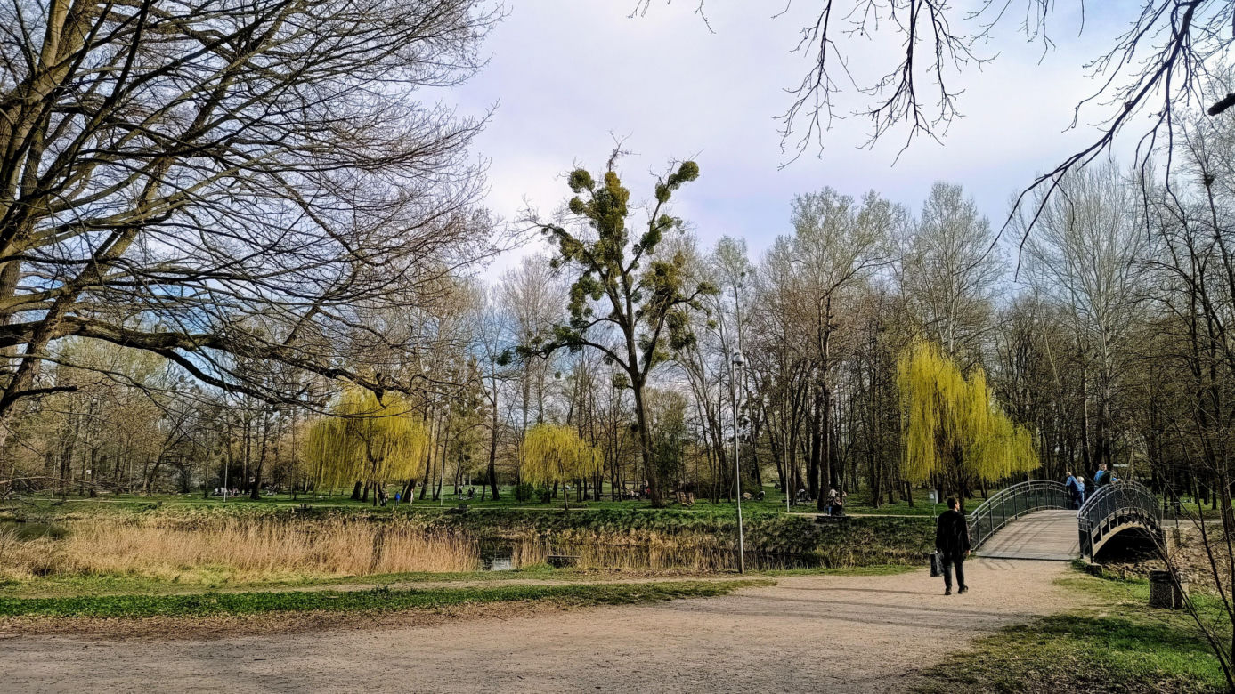 Rybaki, Toruń