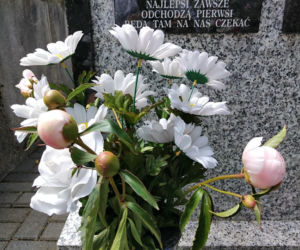 Grób Agaty Mróz-Olszewskiej w Tarnowie