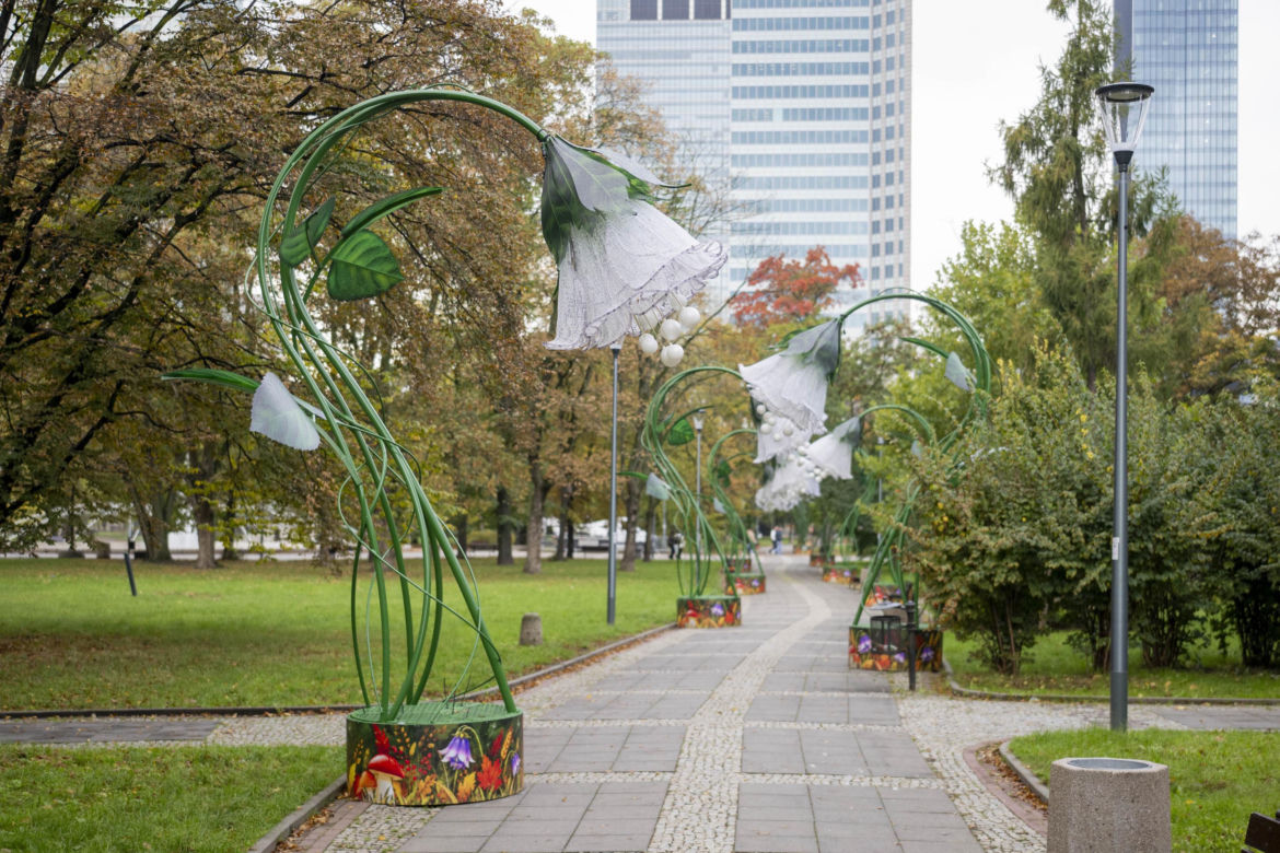 Iluminacja w Parku Świętokrzyskim. Wygląda pięknie