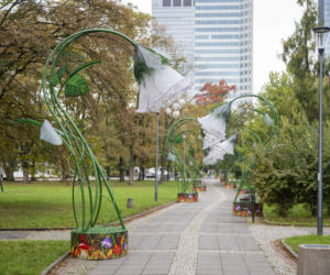 Iluminacja w Parku Świętokrzyskim. Wygląda pięknie