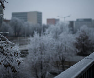 Ciało kobiety pod biurowcem w Katowicach! Tragedia w niedzielne popołudnie