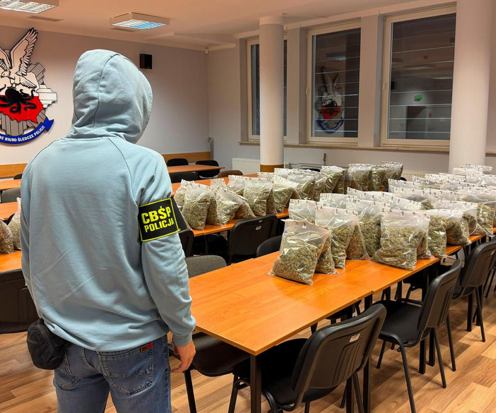 Kurier przywiózł paletę z Hiszpanii. W Raszynie do akcji wkroczyło CBŚP, ładunek był wart miliony