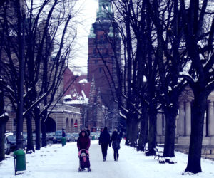 Zima w Szczecinie