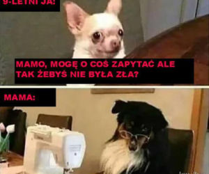  Memy na Dzień Matki 2022 [GALERIA]