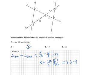 Matura 2026: matematyka. Odpowiedzi z matematyki 5.05.2026