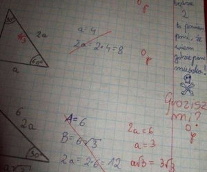 Nauczyciel płakał ze śmiechu jak sprawdzał. Te odpowiedzi z klasówek to HIT! [GALERIA]