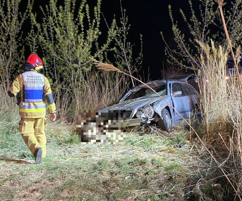 Wielkopolskie. Auto uderzyło w jelenia! Dwie osoby zostały ranne!