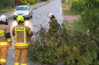 Skutki burz w Siedlcach i powiecie siedleckim