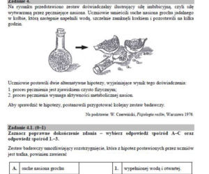 Matura 2019 biologia - poziom rozszerzony