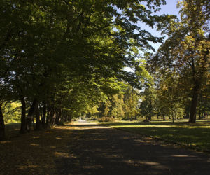 Park Skowroni