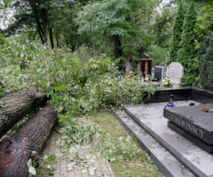 Połamane drzewa na cmentarzu 