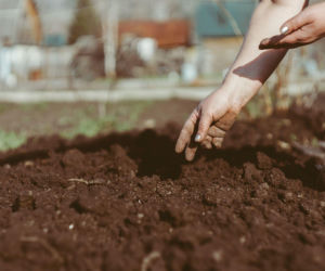 Co to jest zmęczenie gleby? Jak temu zaradzić?