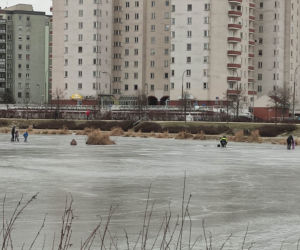 Skrajna nieodpowiedzialność w parku nad Balatonem