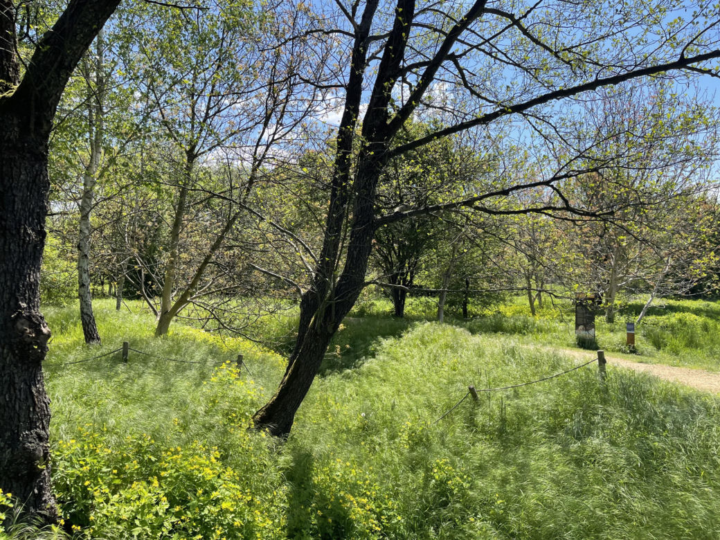 Najdłuższy park w Polsce jest w Krakowie. Ledwo widać go na mapach, a jest pełen atrakcji