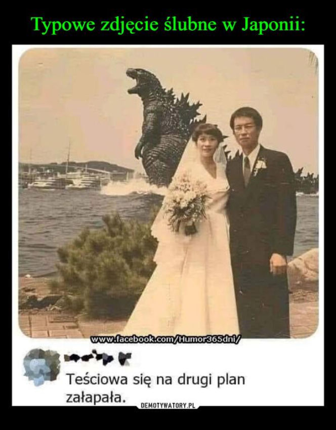 Tych memów o teściowych nie pokażesz mamie! Internauci nie mają litości